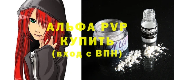 стаф Коряжма