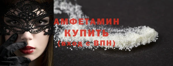 шишки Корсаков