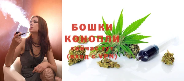 шишки Корсаков