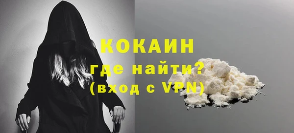 стаф Коряжма