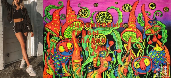 шишки Корсаков