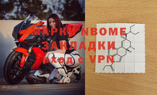 стаф Коряжма