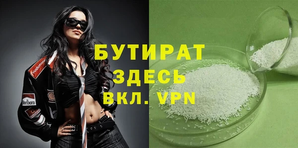 шишки Корсаков