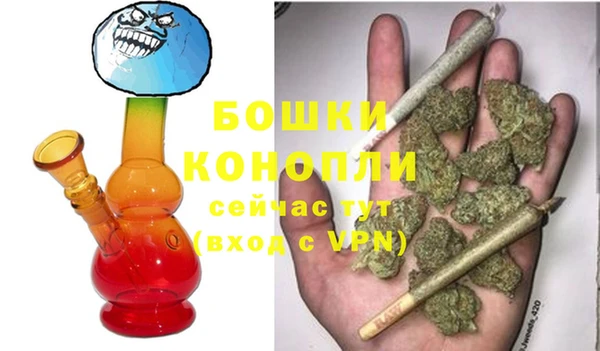 шишки Корсаков